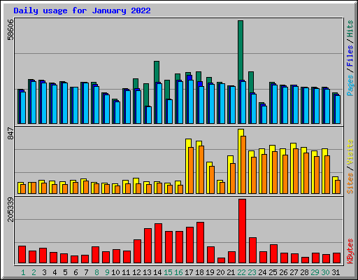 Daily usage for January 2022