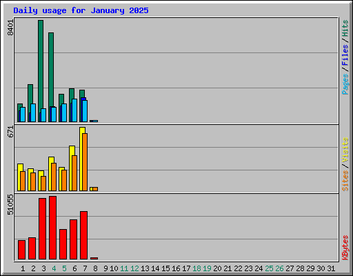 Daily usage for January 2025