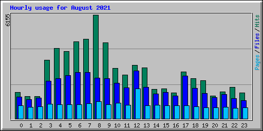 Hourly usage for August 2021