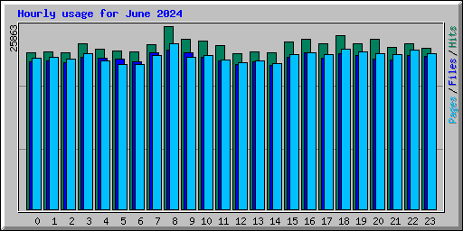 Hourly usage for June 2024