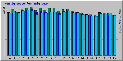 Hourly usage for July 2024