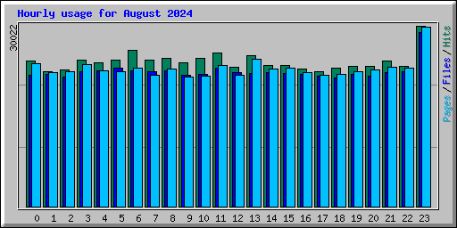 Hourly usage for August 2024