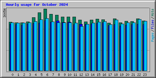 Hourly usage for October 2024