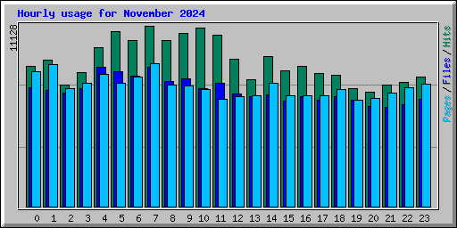 Hourly usage for November 2024