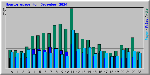 Hourly usage for December 2024