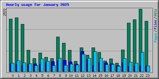 Hourly usage for January 2025