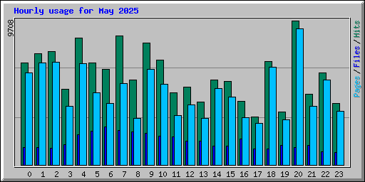 Hourly usage for May 2025