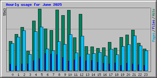 Hourly usage for June 2025