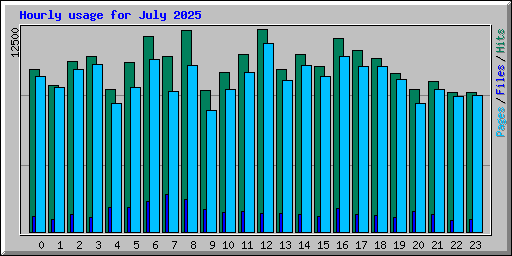 Hourly usage for July 2025