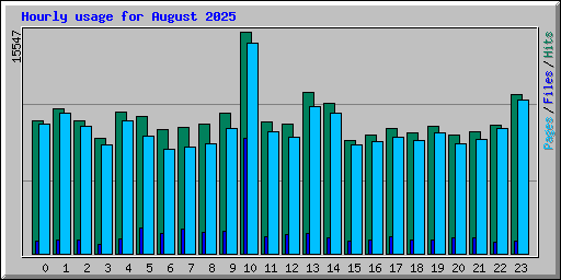 Hourly usage for August 2025