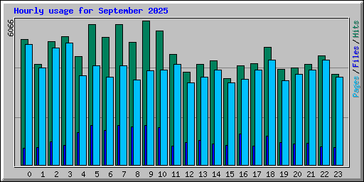 Hourly usage for September 2025