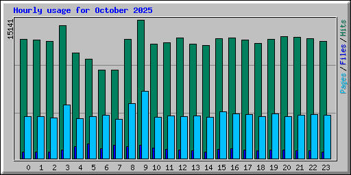 Hourly usage for October 2025
