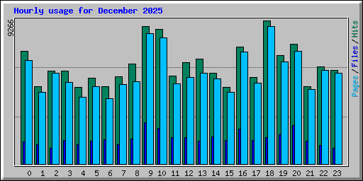 Hourly usage for December 2025