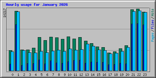 Hourly usage for January 2026
