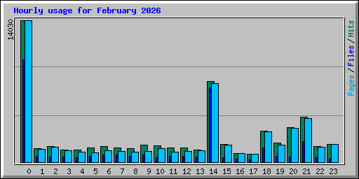 Hourly usage for February 2026