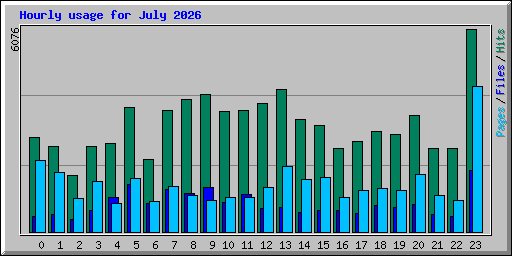 Hourly usage for July 2026